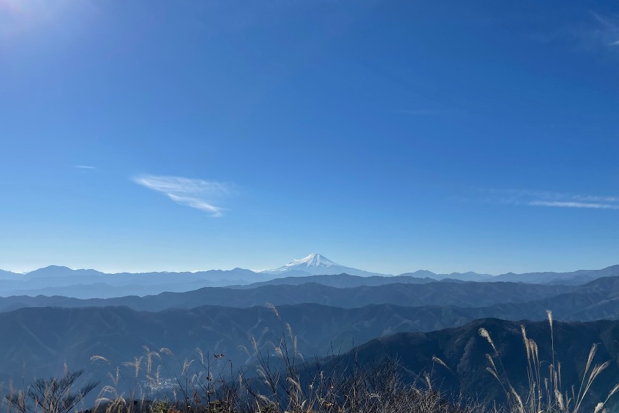 大岳山山頂から見た富士山