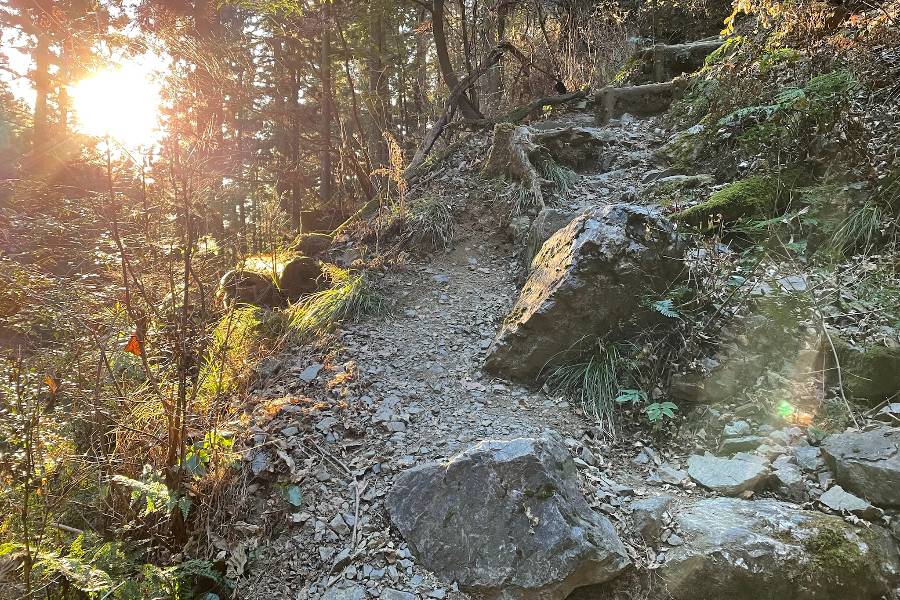 早朝の登山道