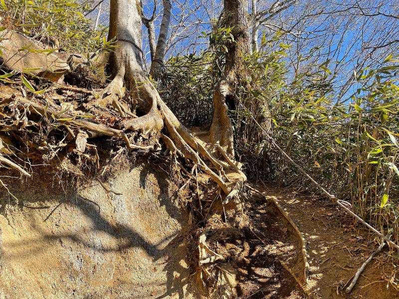 土が流れて歩きにくくなっている箇所もある