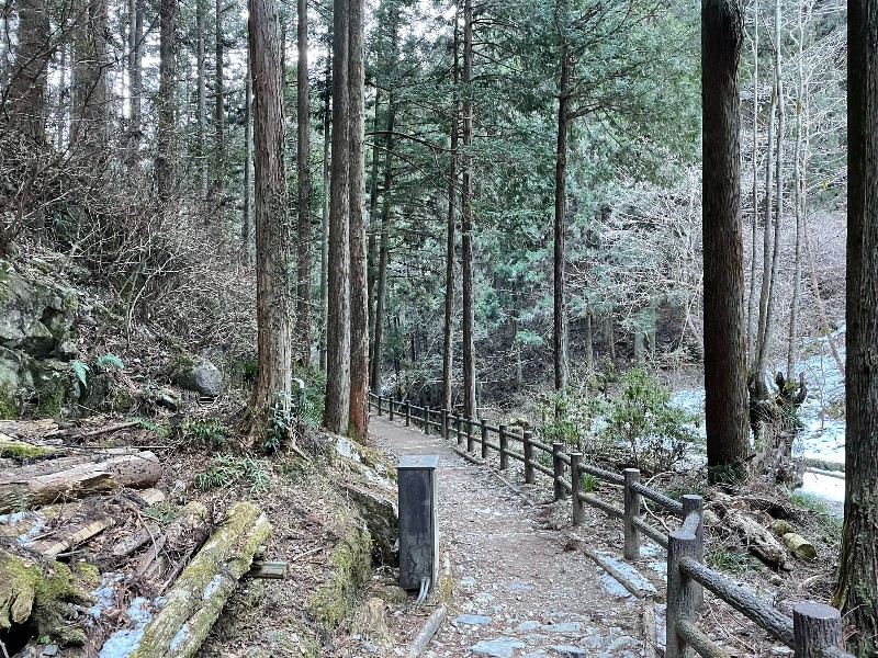 払沢の滝への登山道