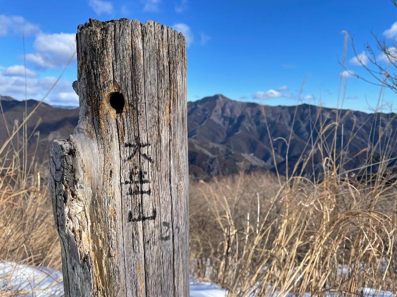 大岳山が見える丸太