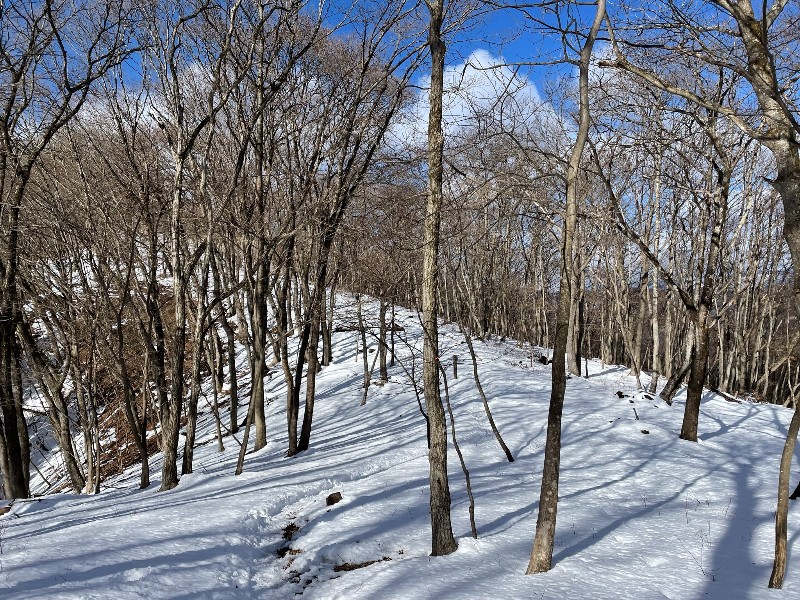 浅間嶺の雪野原